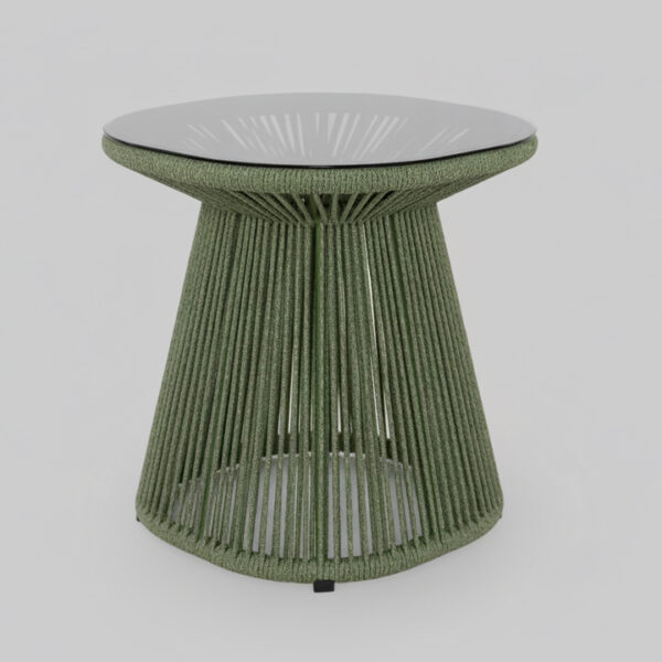 Generated Image October 11, 2025 - 3_54PM 拷貝